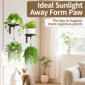 LASZOLA wall greens frame adds decor while showcasing thriving plants