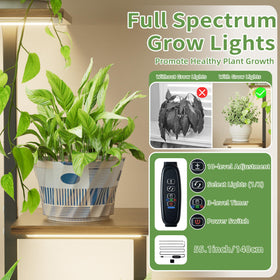 LATIBELL two-pack plant stands elevating your leafy indoor display