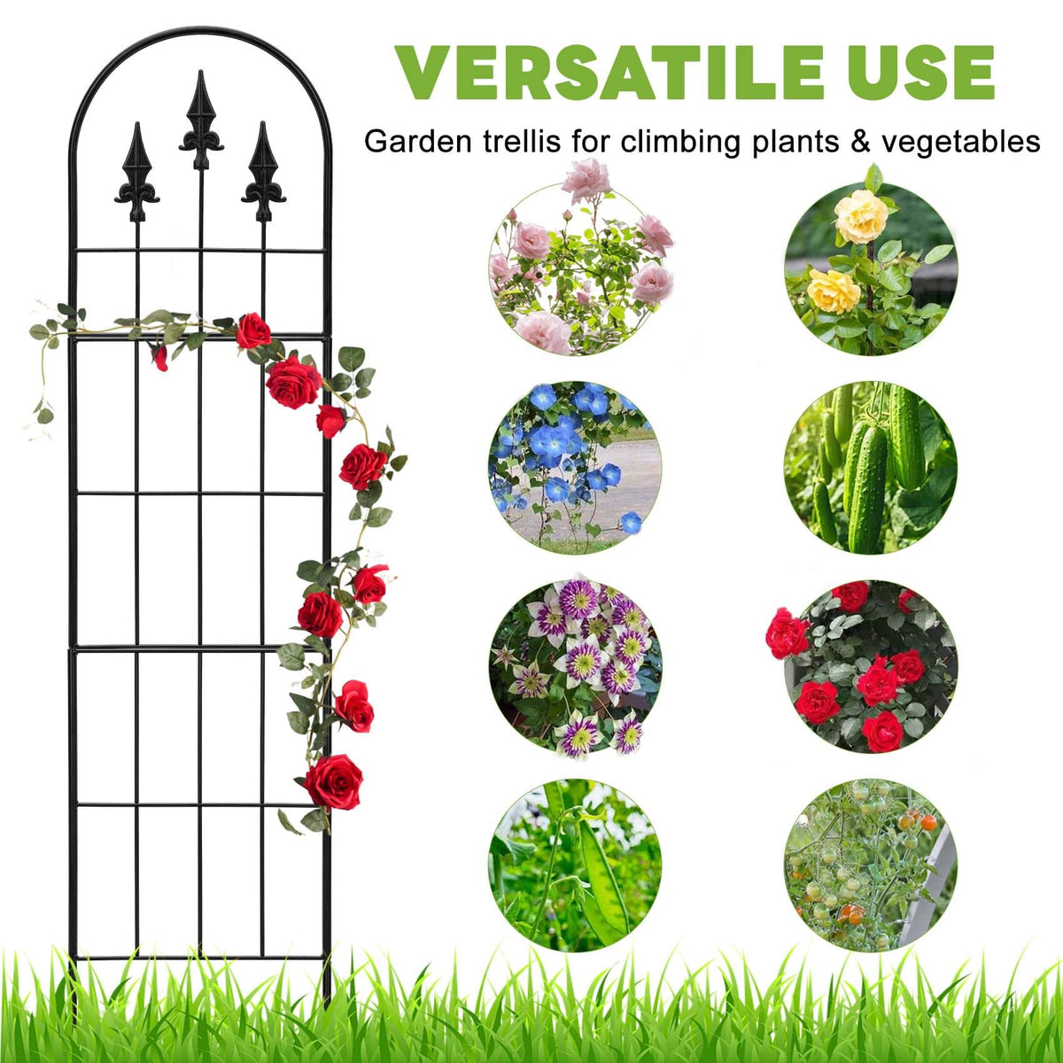 LATIHUUM sturdy 57.8h x 13w trellis provides reliable plant support.