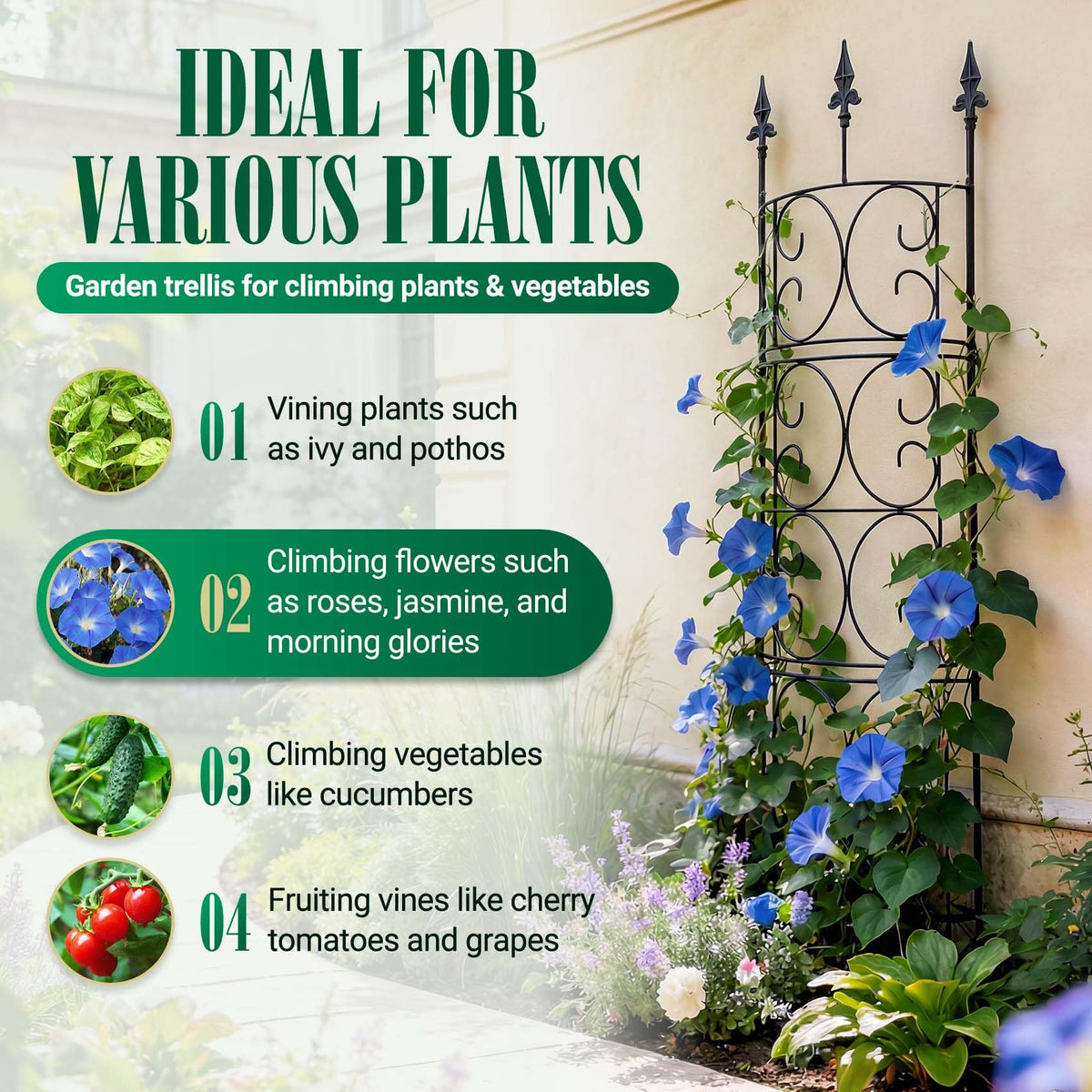 LATIHUUM indoor-outdoor trellis supports climbing plants in any space