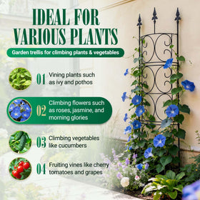 LATIHUUM indoor-outdoor trellis supports climbing plants in any space