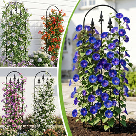 LATIHUUM outdoor indoor-use trellis in black blends with garden decor.