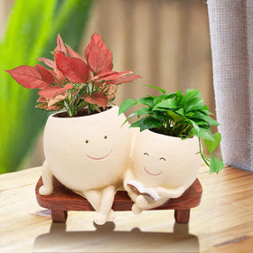 LAUGOKOBE Smily Face Planter Pot DIY customization for a unique look.