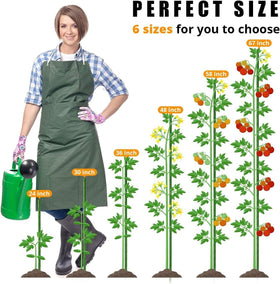 LAVEVE 48-inch stake deployed for tomato vine support