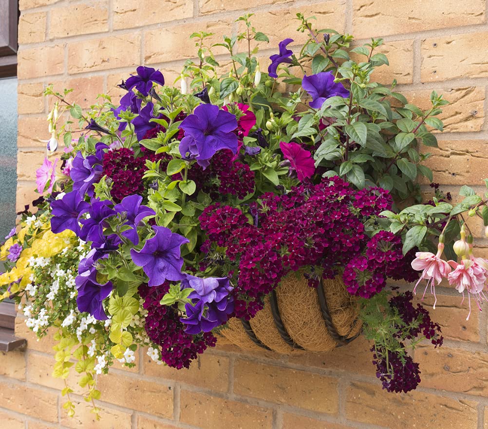 LAVEVE liner installed in a window box for decorative greenery.