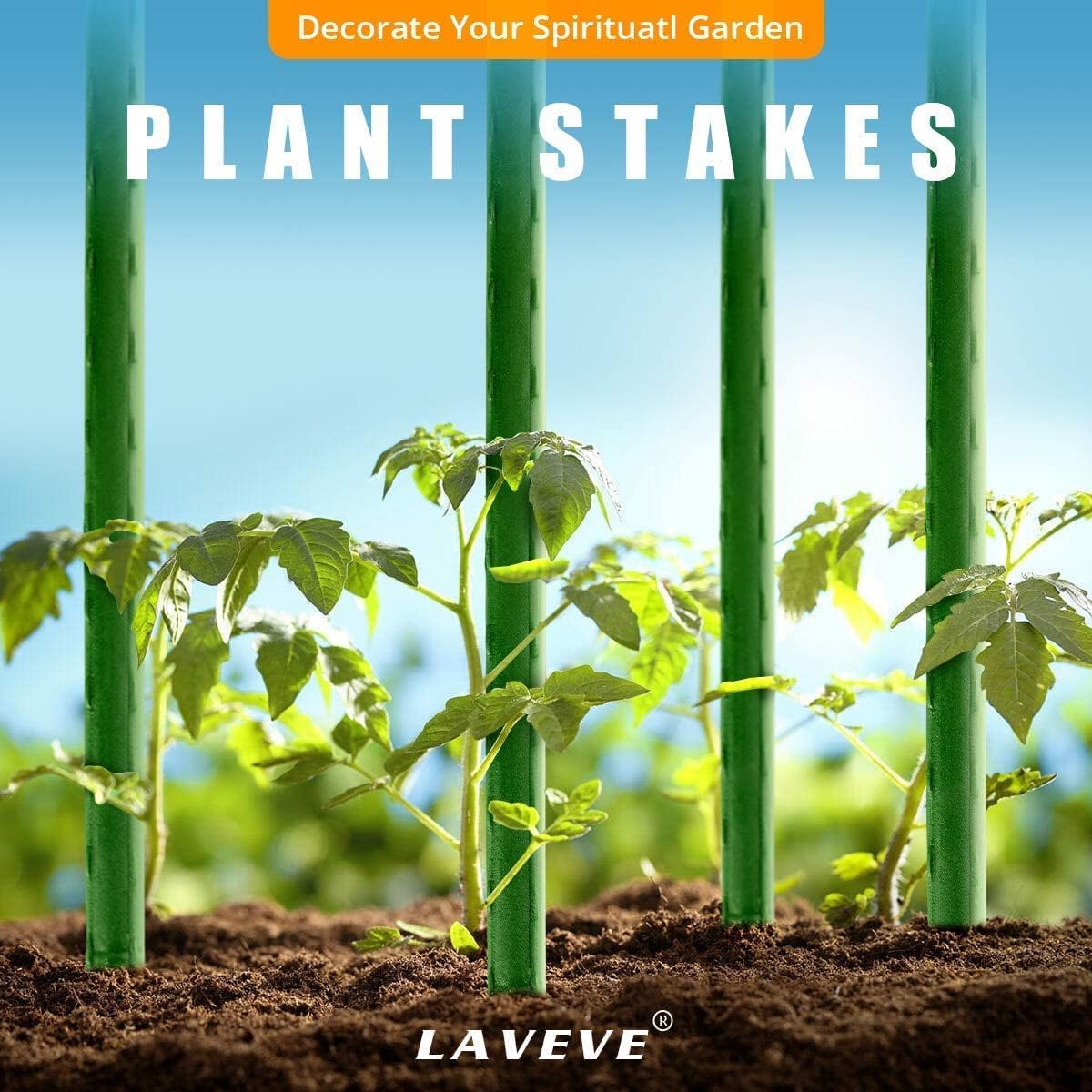 LAVEVE garden row organization with evenly spaced stakes