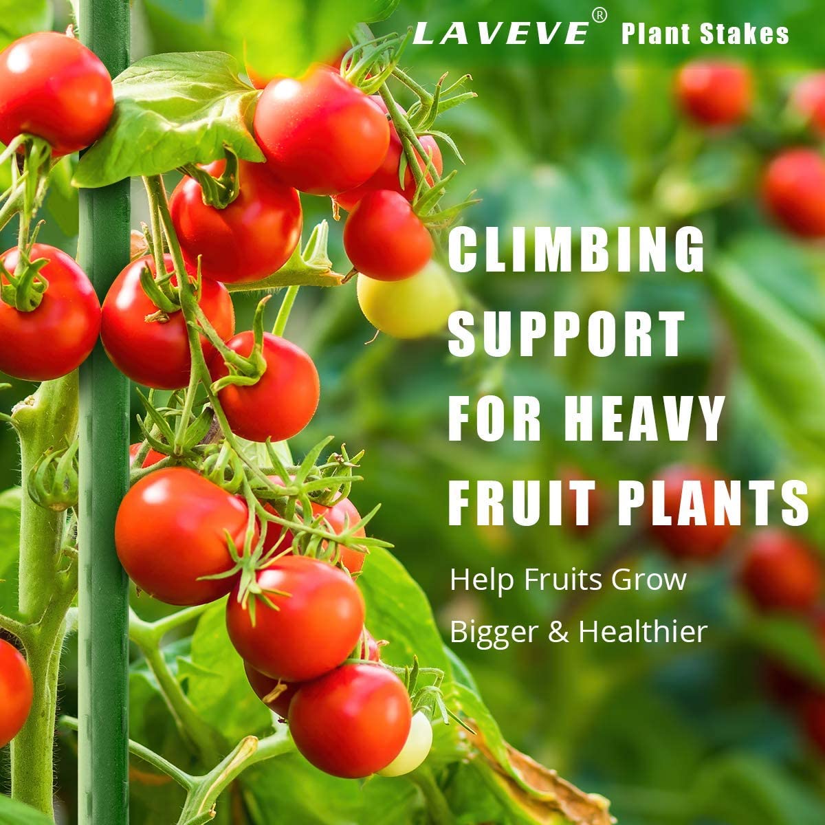 LAVEVE green-plastic coated stake offering durable, weather-ready protection for outdoor gardens