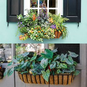 Natural coir liner from LAVEVE promotes even watering in pots.