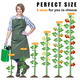 LAVEVE stake inserted into ground ensures sturdy anchoring for trees and vines