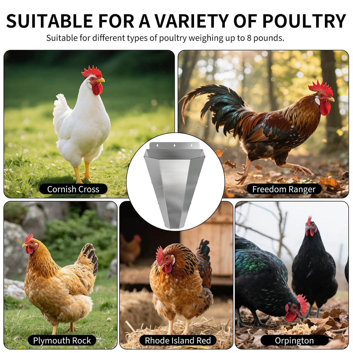LavviTech durable metal finish resists wear in regular poultry work