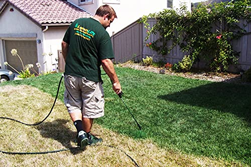 LawnLift long-lasting lawn color visible on turf.