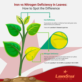 LawnStar Liquid Iron is EDTA-free and American-made for reliable soil compatibility.