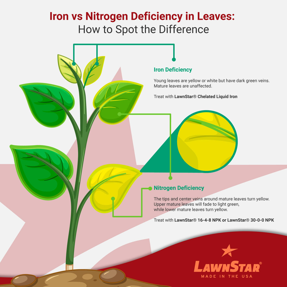 LawnStar Liquid Iron in a garden scene demonstrates versatile, all-purpose plant care
