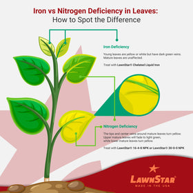 LawnStar Liquid Iron in a garden scene demonstrates versatile, all-purpose plant care