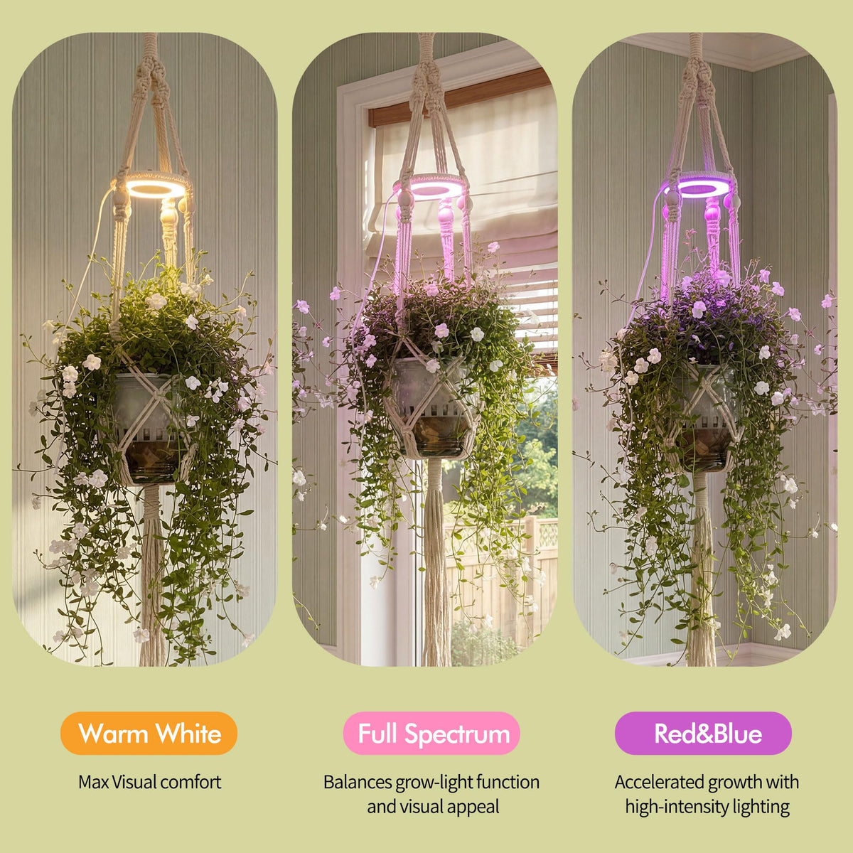 Lazukes ceiling mount kit for space-saving installation
