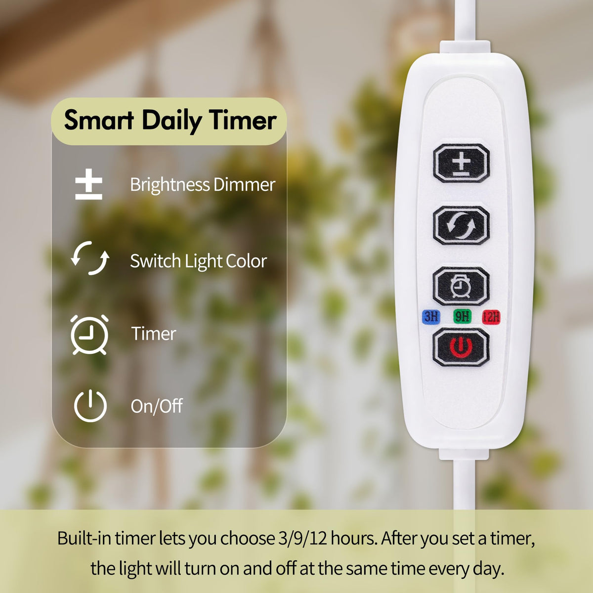 Lazukes timer interface demonstrating auto on/off schedule