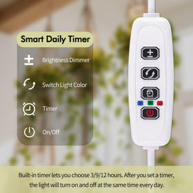 Lazukes timer interface demonstrating auto on/off schedule