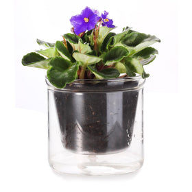 LAZUSAM 4inch self-watering pot with African violet in bloom for moisture control