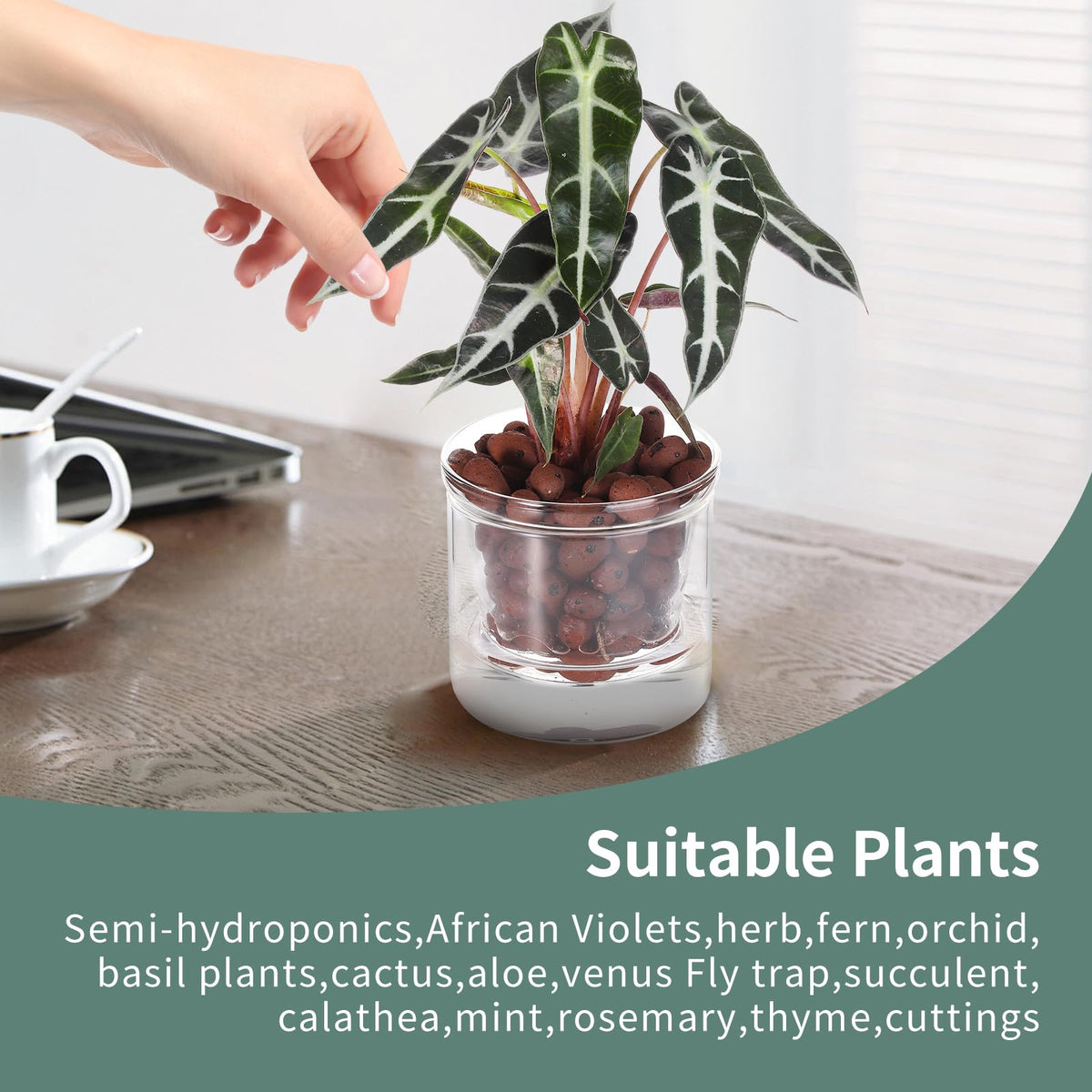 LAZUSAM gift-ready plant pot for plant lovers on special occasions