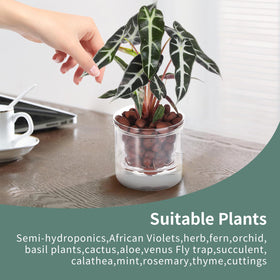 LAZUSAM gift-ready plant pot for plant lovers on special occasions