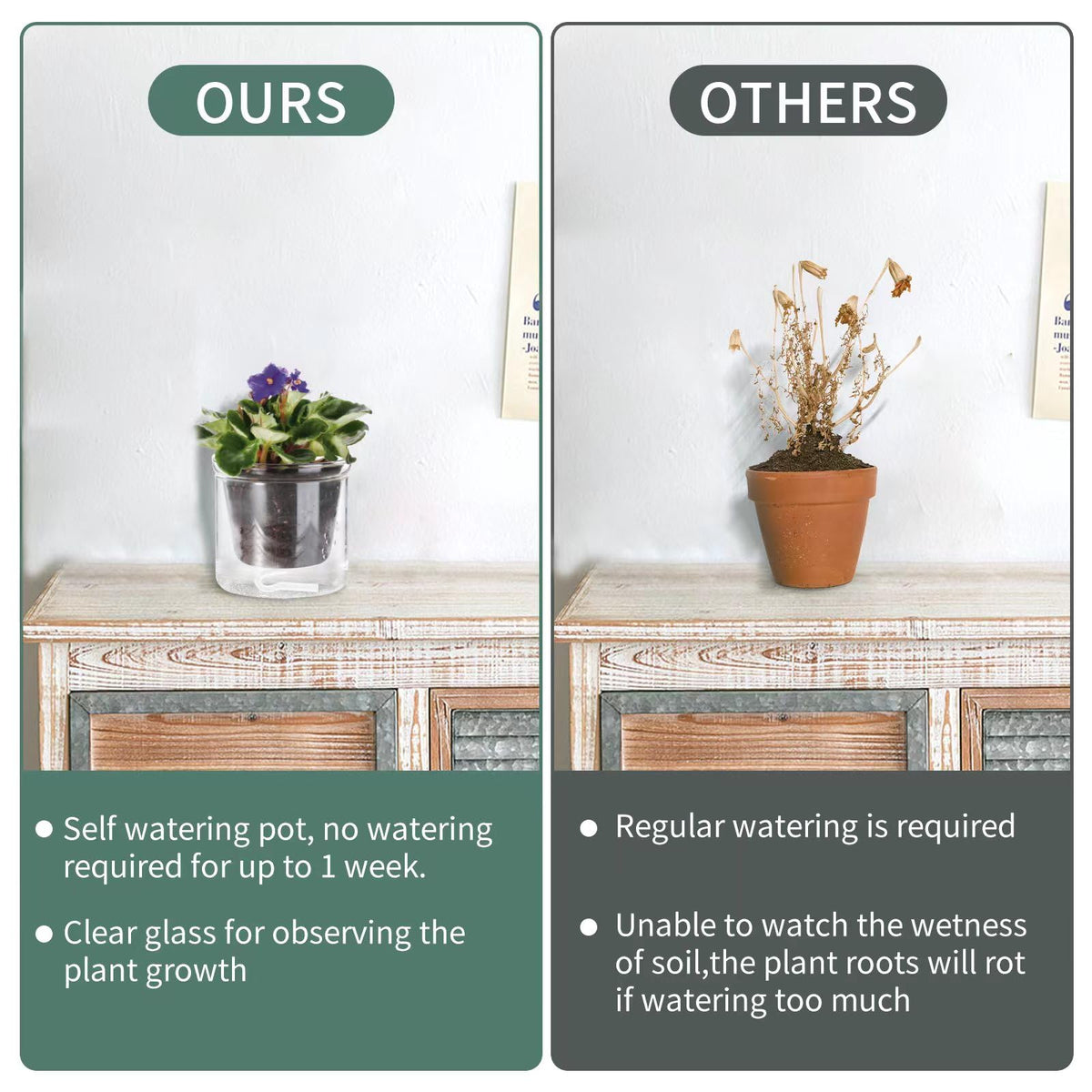 LAZUSAM propagation-friendly pot ideal for cuttings and small plants