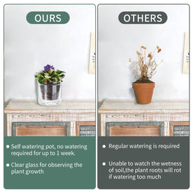 LAZUSAM propagation-friendly pot ideal for cuttings and small plants