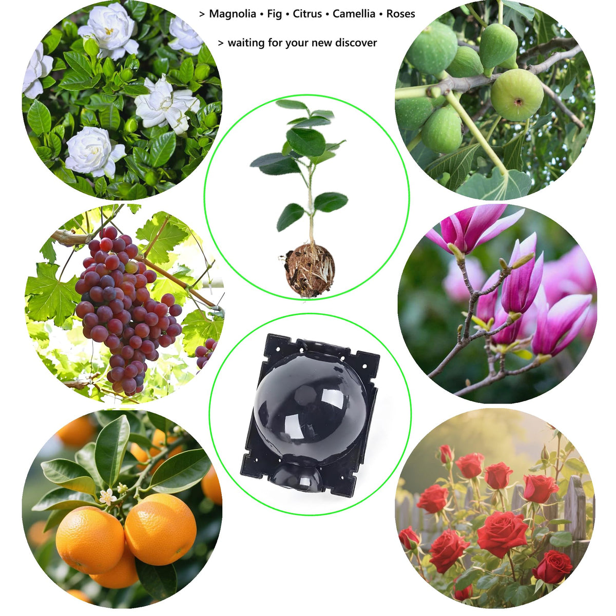 Lazzineer reusable propagation system supports eco-friendly gardening.