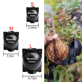 Lazzineer reusable root growing box ready for multiple plants like roses and climbers.