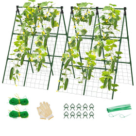 Lazzmonk cucumber trellis A-frame setup offers dual sides for airflow and support.