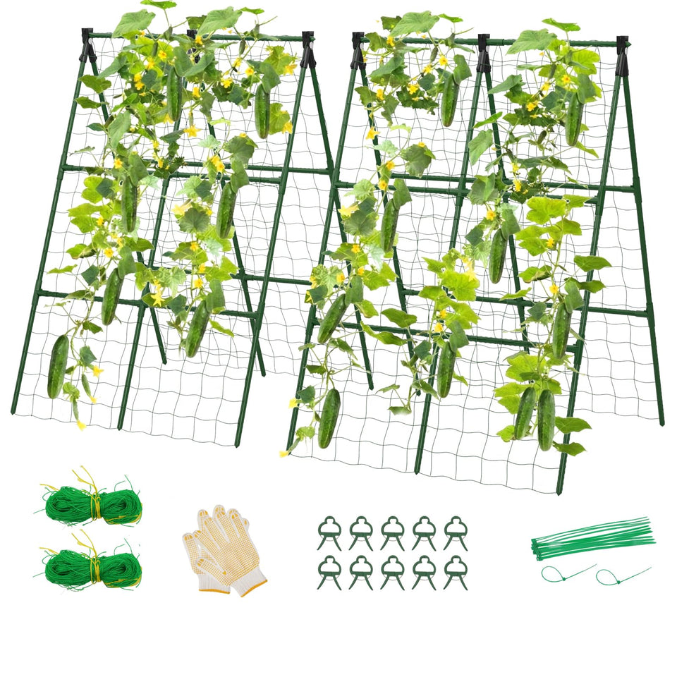 Lazzmonk cucumber trellis A-frame setup offers dual sides for airflow and support.