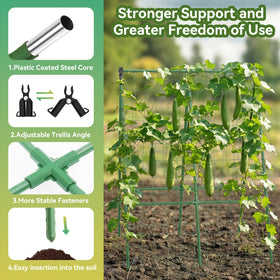 Lazzmonk dual-sided trellis provides stable climbing surfaces for vines.