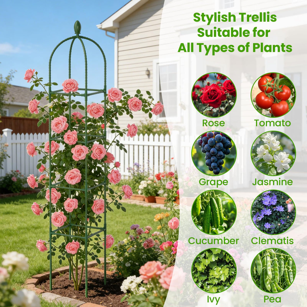 Lazzmonk four-tier tower maximizes vertical space for multiple plants.