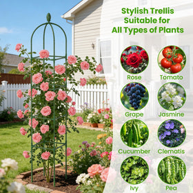 Lazzmonk four-tier tower maximizes vertical space for multiple plants.