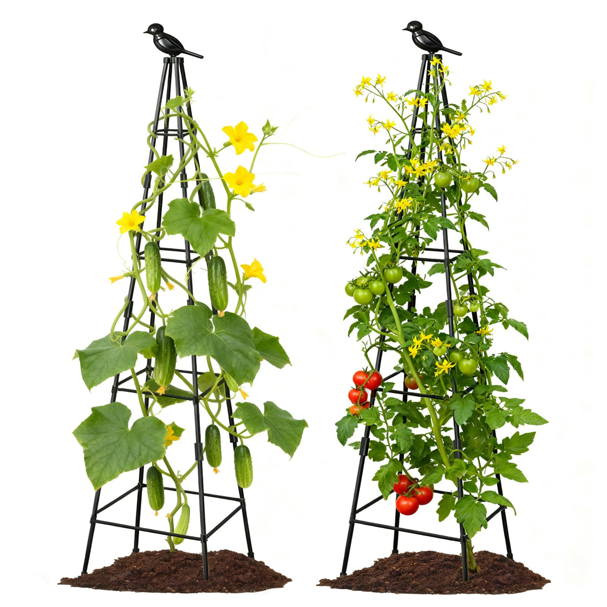 Lazzmonk 70-inch tower obelisk trellis supports climbing plants with elegant finial.