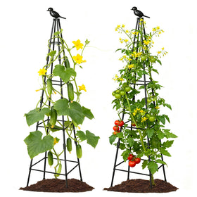 Lazzmonk 70-inch tower obelisk trellis supports climbing plants with elegant finial.
