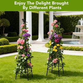 Lazzmonk four-stake design provides stable vertical growth in small spaces.