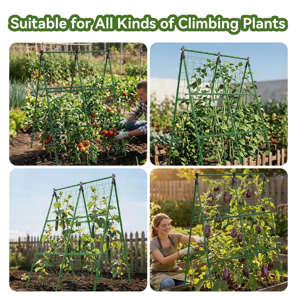 Lazzmonk wide-application supports cucumbers, tomatoes, and other climbing crops.