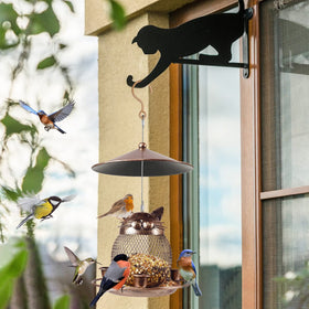 LBTING bird feeder attracting cardinals, tits, finches, and bluebirds.
