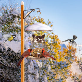 LBTING feeder with built-in sling for versatile outdoor hanging.