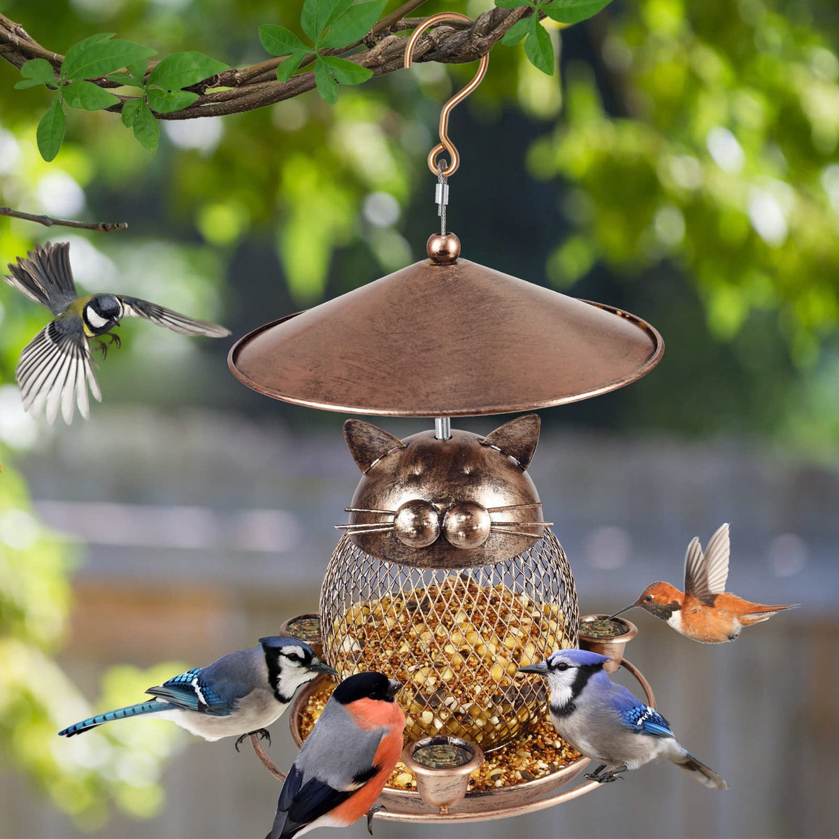 LBTING water cup design supports drinking and hummingbird visits.