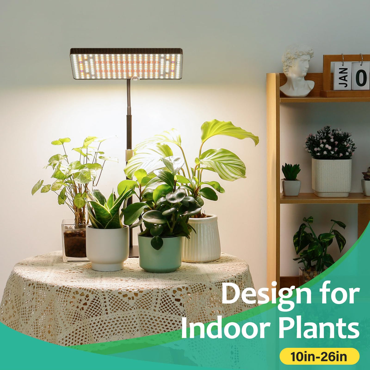 LBW Desk Grow Light timer dials enabling flexible 3/6/12 hour schedules.