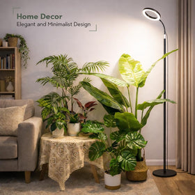 LBW Grow Light offers 3 modes and 5 dimming levels for versatile care.
