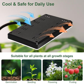 LBW Grow Light adjustable-height 63-inch stand enables precise positioning.