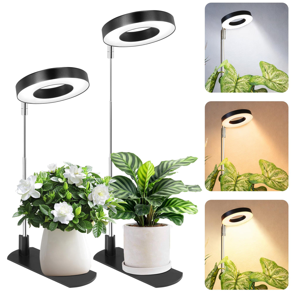 LBW Grow Light base assembly shows stable support for indoor use