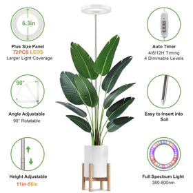 LBW 4/8/12h cycle timer simplifies daily light scheduling.