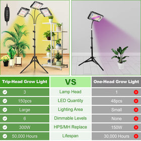 LBW setup is quick: tripod, gooseneck, and light attach in minutes