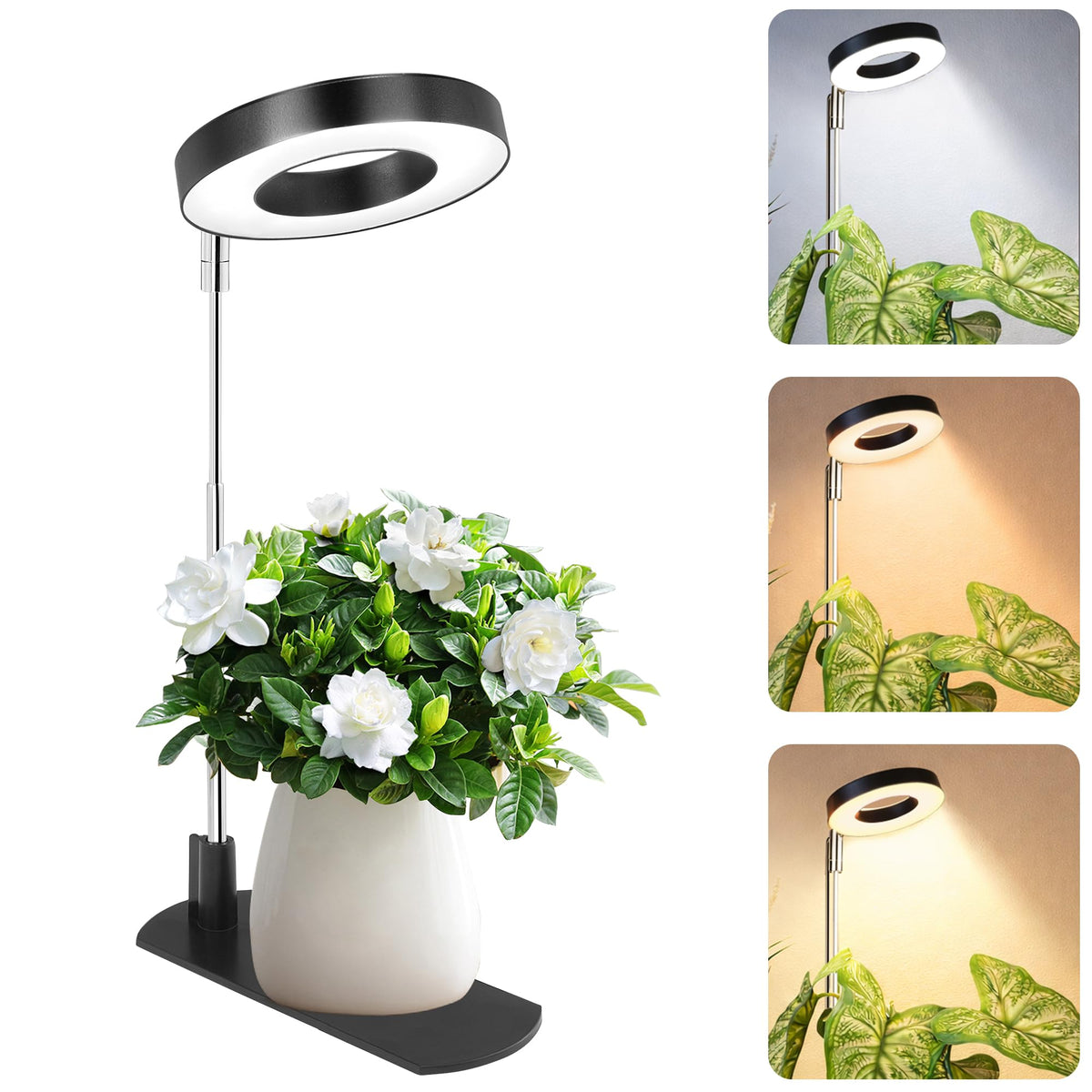 LBW Grow Light full spectrum illumination supports healthy indoor plant growth.