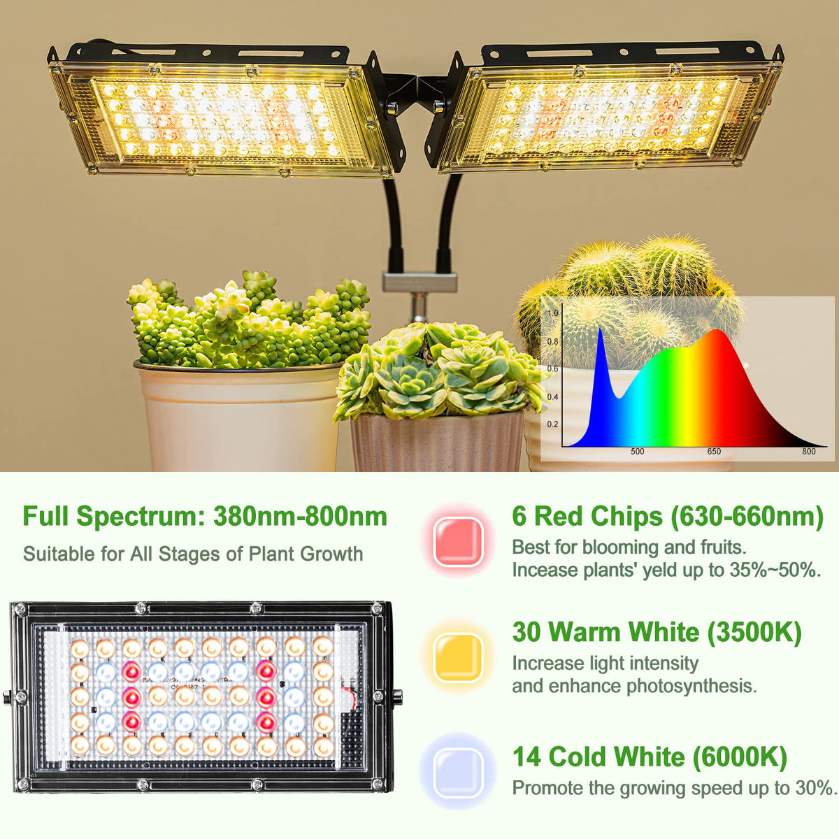 LBW full-spectrum LED covers 380-800nm for thriving seedlings and leafy greens.
