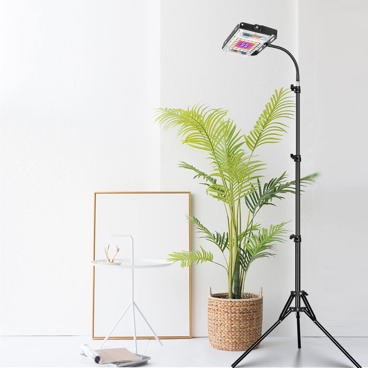 LBW Grow Light full-spectrum LED panel for indoor plants promotes balanced growth.