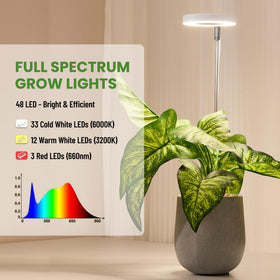 LBW grow light height adjustable for various plants
